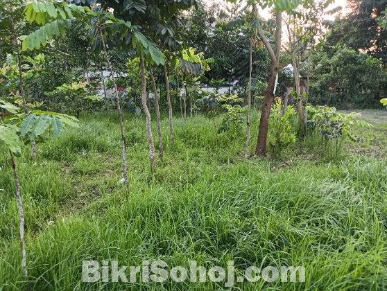 7 শতক জমি